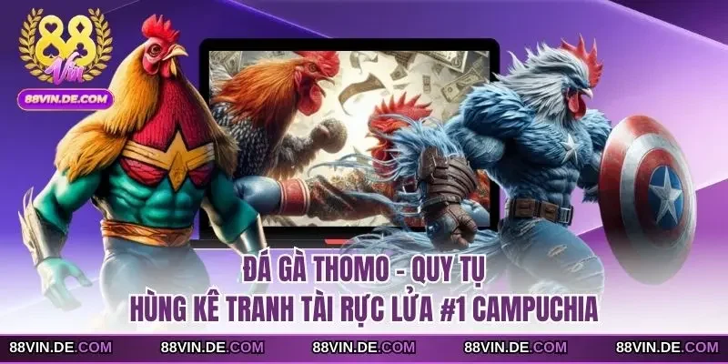 Đá gà thomo